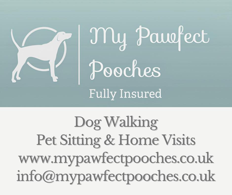 Pawfect 2024 dog walking